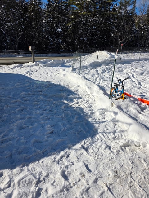 Frozen pond with protective fencing and a swing set on snowy ground surrounded by winter trees